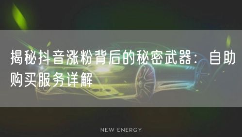 揭秘抖音涨粉背后的秘密武器：自助购买服务详解