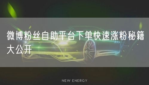 微博粉丝自助平台下单快速涨粉秘籍大公开