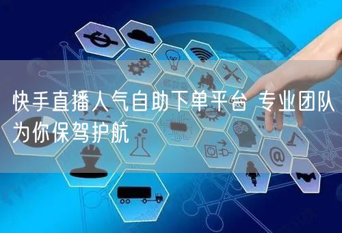 快手直播人气自助下单平台 专业团队为你保驾护航