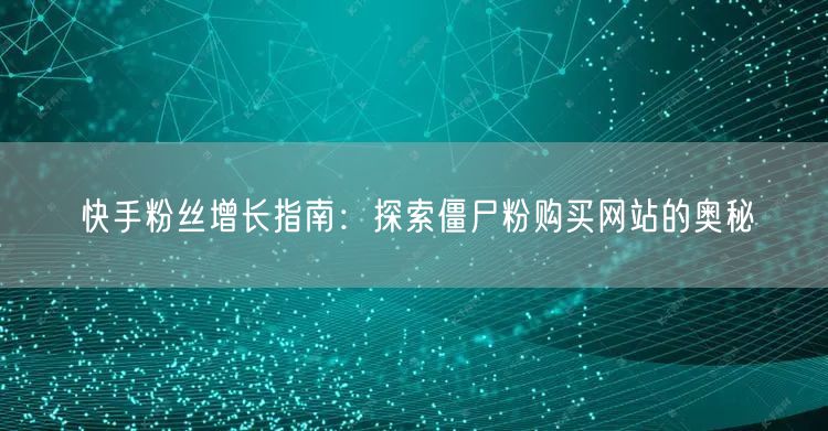 快手粉丝增长指南：探索僵尸粉购买网站的奥秘