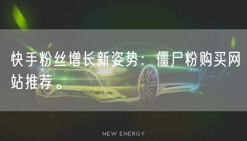 快手粉丝增长新姿势：僵尸粉购买网站推荐。