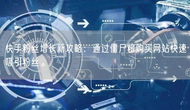 快手粉丝增长新攻略：通过僵尸粉购买网站快速吸引粉丝。