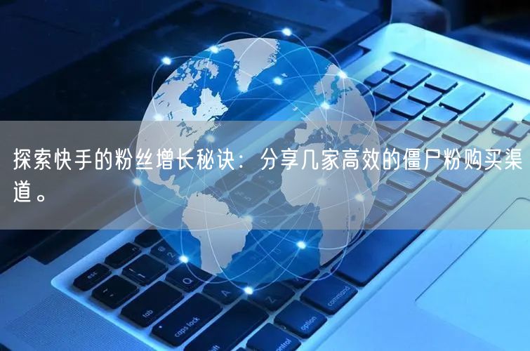 探索快手的粉丝增长秘诀：分享几家高效的僵尸粉购买渠道。