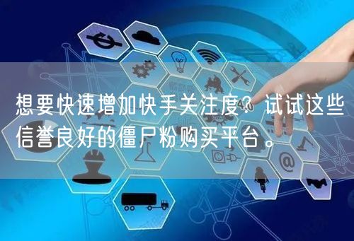 想要快速增加快手关注度？试试这些信誉良好的僵尸粉购买平台。