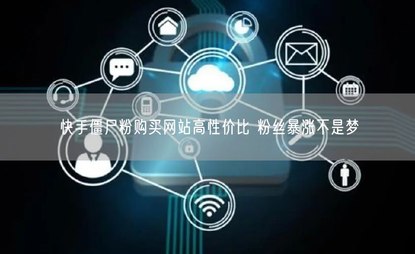 快手僵尸粉购买网站高性价比 粉丝暴涨不是梦