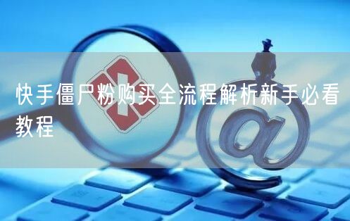 快手僵尸粉购买全流程解析新手必看教程