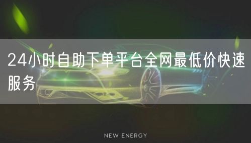 24小时自助下单平台全网最低价快速服务