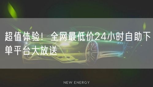 超值体验！全网最低价24小时自助下单平台大放送