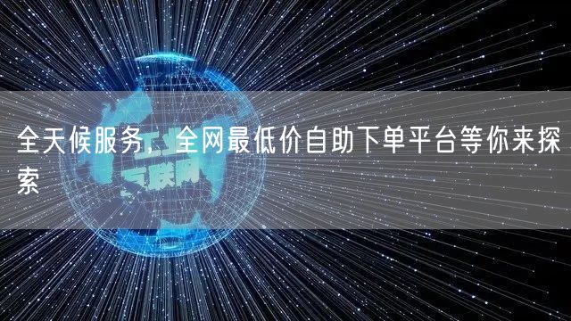 全天候服务,全网最低价自助下单平台等你来探索