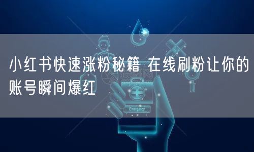 小红书快速涨粉秘籍 在线刷粉让你的账号瞬间爆红