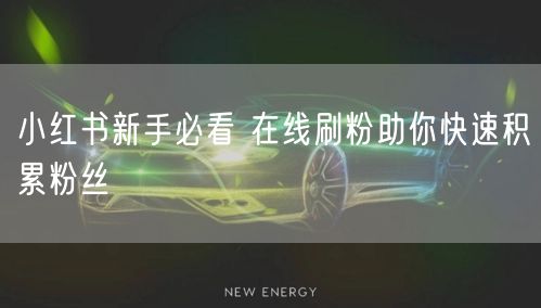 小红书新手必看 在线刷粉助你快速积累粉丝