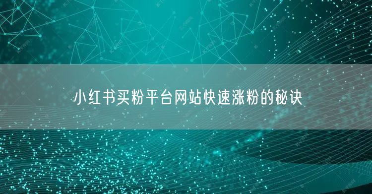 小红书买粉平台网站快速涨粉的秘诀