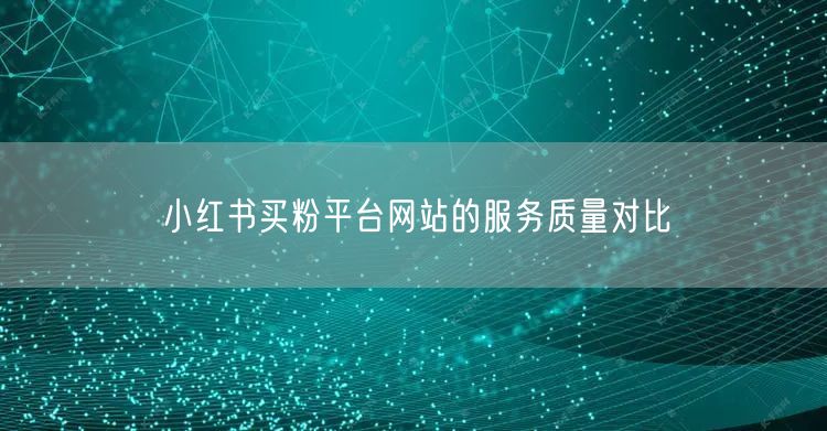 小红书买粉平台网站的服务质量对比