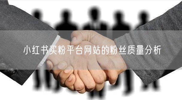 小红书买粉平台网站的粉丝质量分析