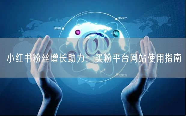 小红书粉丝增长助力：买粉平台网站使用指南