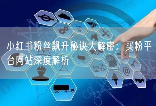 小红书粉丝飙升秘诀大解密：买粉平台网站深度解析