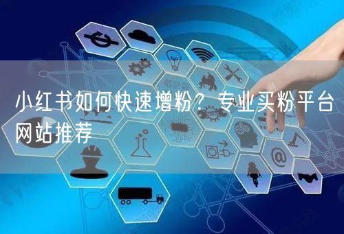 小红书如何快速增粉？专业买粉平台网站推荐