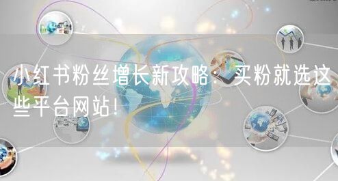 小红书粉丝增长新攻略：买粉就选这些平台网站！
