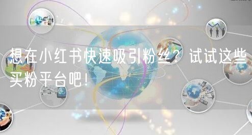 想在小红书快速吸引粉丝？试试这些买粉平台吧！