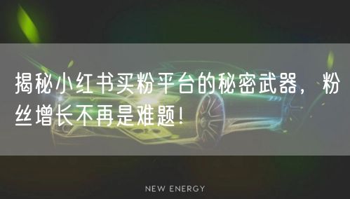 揭秘小红书买粉平台的秘密武器，粉丝增长不再是难题！