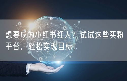 想要成为小红书红人？试试这些买粉平台，轻松实现目标！