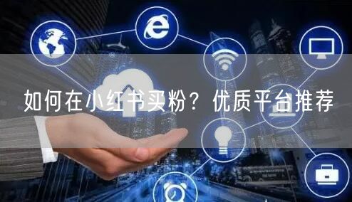 如何在小红书买粉？优质平台推荐