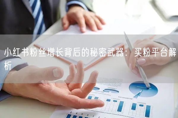 小红书粉丝增长背后的秘密武器：买粉平台解析