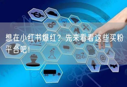 想在小红书爆红？先来看看这些买粉平台吧！