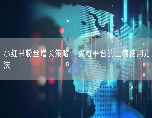 小红书粉丝增长策略：买粉平台的正确使用方法