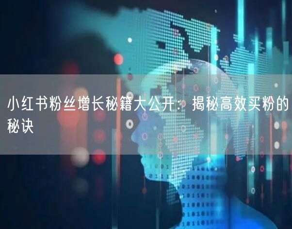 小红书粉丝增长秘籍大公开：揭秘高效买粉的秘诀