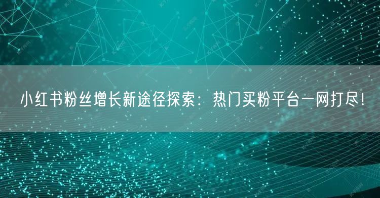 小红书粉丝增长新途径探索：热门买粉平台一网打尽！