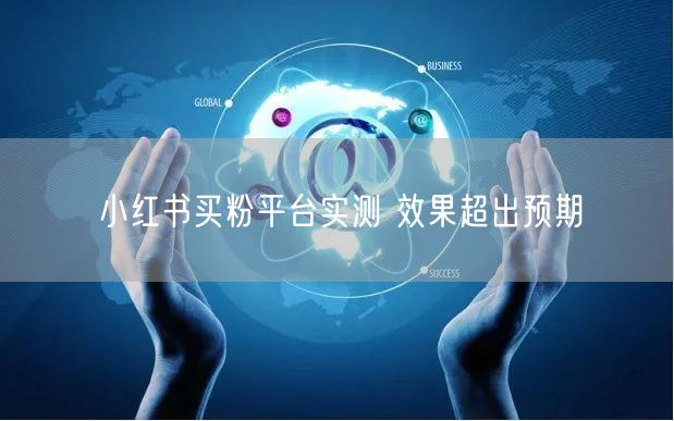 小红书买粉平台实测 效果超出预期