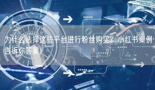 为什么选择这些平台进行粉丝购买？小红书案例告诉你答案！