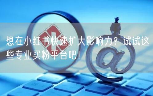 想在小红书快速扩大影响力？试试这些专业买粉平台吧！