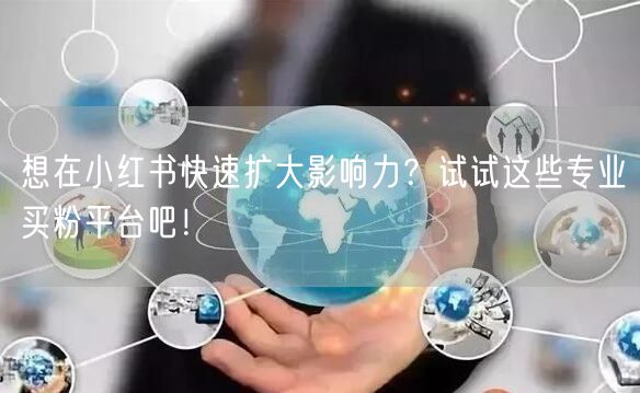 想在小红书快速扩大影响力？试试这些专业买粉平台吧！