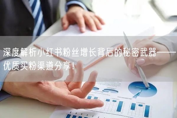 深度解析小红书粉丝增长背后的秘密武器——优质买粉渠道分享！