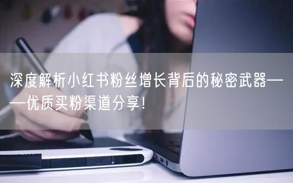 深度解析小红书粉丝增长背后的秘密武器——优质买粉渠道分享！
