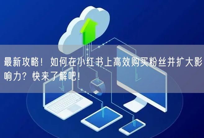 最新攻略！如何在小红书上高效购买粉丝并扩大影响力？快来了解吧！