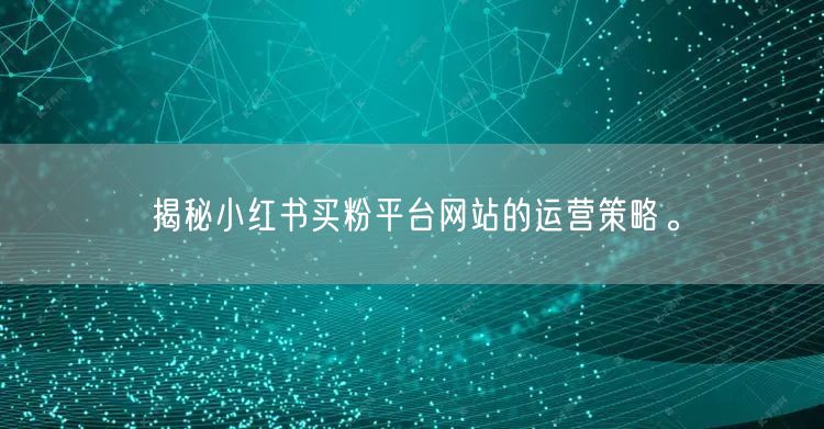 揭秘小红书买粉平台网站的运营策略。