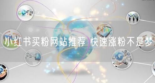 小红书买粉网站推荐 快速涨粉不是梦