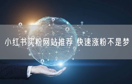 小红书买粉网站推荐 快速涨粉不是梦
