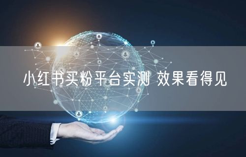 小红书买粉平台实测 效果看得见