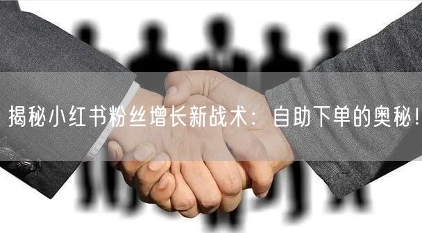 揭秘小红书粉丝增长新战术：自助下单的奥秘！