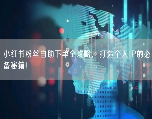 小红书粉丝自助下单全攻略，打造个人IP的必备秘籍！