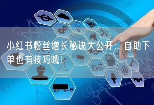 小红书粉丝增长秘诀大公开：自助下单也有技巧哦！