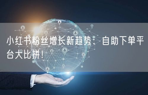 小红书粉丝增长新趋势：自助下单平台大比拼！