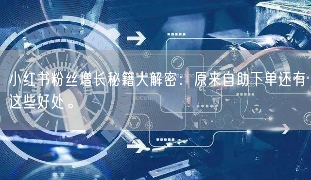 小红书粉丝增长秘籍大解密：原来自助下单还有这些好处。
