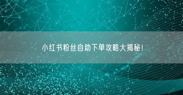 小红书粉丝自助下单攻略大揭秘！
