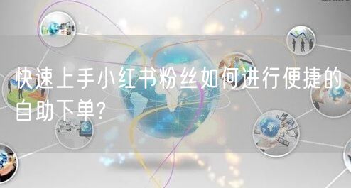 快速上手小红书粉丝如何进行便捷的自助下单?