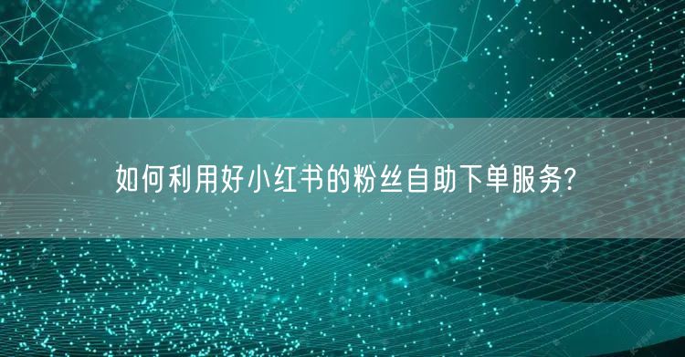 如何利用好小红书的粉丝自助下单服务?